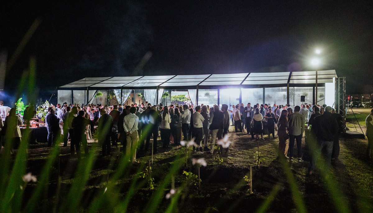 Carpas Transparentes