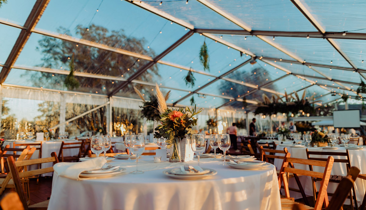 Carpa Techo Transparente